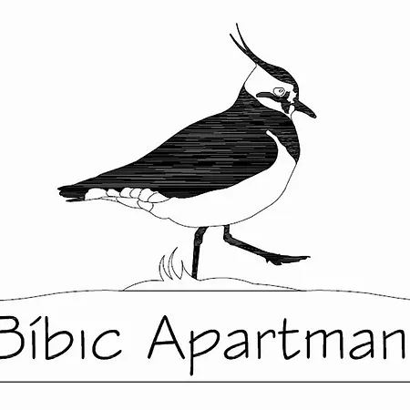 Bíbic A Kapolnasnyek