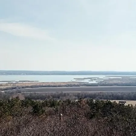 Апартаменты Bibic A *