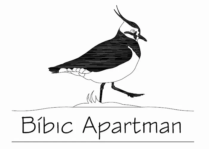 Bibic A Kapolnasnyek