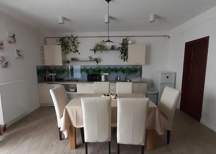 Bibic A Kapolnasnyek