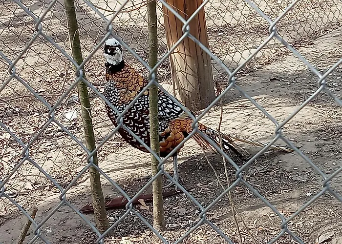 公寓 Bibic A Kapolnasnyek