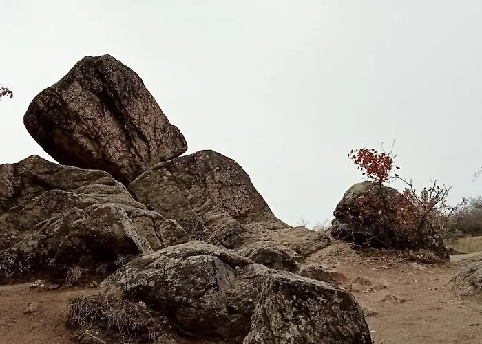 Bibic A Kapolnasnyek